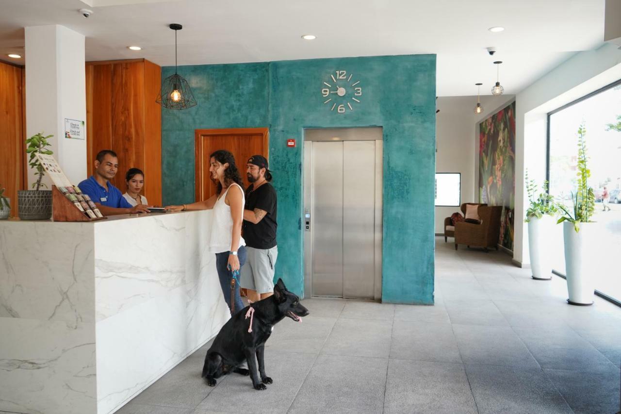 Hotel & Suites Arges - Centro Chetumal Ngoại thất bức ảnh